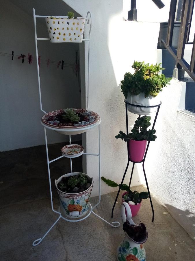 Ferienwohnung Vivenda Areias Vila Nova  Exterior foto